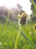 review-lgv10-camera-3.jpg
