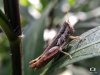 review-lgv10-camera-8.jpg