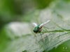 review-lgv10-camera-9.jpg