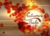 Elegant-Red-Leaves-Autumn-Sale-Vector-Background.jpg