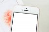 zoom-sat-hang-nong-iphone-se-vang-hong-vua-do-bo-ha-noi-hinh-4.jpg