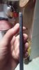 20170320_153617.jpg