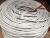day-mang-cat6e-trang-1.jpg