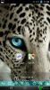 choimobile.vn-Screenshot_2013-05-12-11-39-24.png