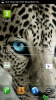 choimobile.vn-Screenshot_2013-05-12-11-43-28.png