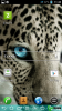 choimobile.vn-Screenshot_2013-05-12-11-43-35.png