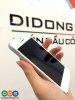 IMG_7283.jpg-choi.jpg