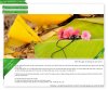 Tai_nghe_Sennheiser_CX400II_1024.jpg
