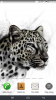 Screenshot_2014-07-21-22-57-23.png