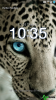choimobile.vn-Screenshot_1970-01-31-10-36-00.png