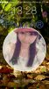uploadfromtaptalk1409812869758.jpg