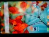 2014a695e289-6cc0-4bb5-b531-56e3f83155e5.jpe