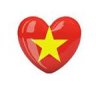 vy hiếu