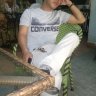 trinumber12209