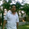 daominhtri1981