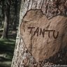 tantu