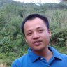 lâm nghi
