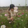 Đá xanh