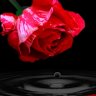 namviet_iphone