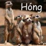 phanduythang