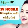hongvutnhp01