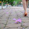 hoang le nam