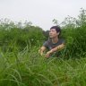 dingding
