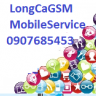 LongCaGSM