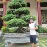 minhthang772