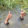 thaingoc_mobile