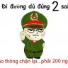 viet sing