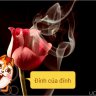 Anh To