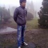 rabit