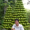 Alvis Duy