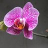 thờ ơ cuộc sống