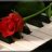 beats_vip