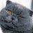 meomap-online