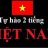 tuan anh 1993