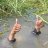thaingoc_mobile