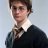 harry luo