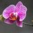 thờ ơ cuộc sống